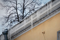 ������������� ������ � �������� ����� ������� �� ��� ������