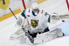 Матч КХЛ "Сочи" - "Торпедо" прерван из-за воздушной тревоги Матч КХЛ "Сочи" - "Торпедо" прерван из-за воздушной тревоги