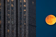 Что произошло в мире науки. Вечерний дайджест Что произошло в мире науки. Вечерний дайджест