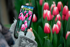 Объем рынка цветов в РФ в 2026 г. может достичь 500 млрд руб. Объем рынка цветов в РФ в 2026 г. может достичь 500 млрд руб.