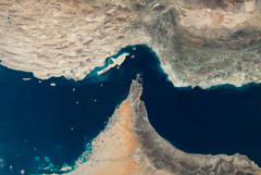 ���� ������ � ������ �������� ��� ��������� ��������