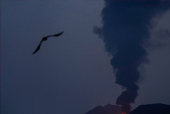 СМИ оценили потери военного оборудования США в ходе конфликта с Ираном почти в $2 млрд СМИ оценили потери военного оборудования США в ходе конфликта с Ираном почти в $2 млрд