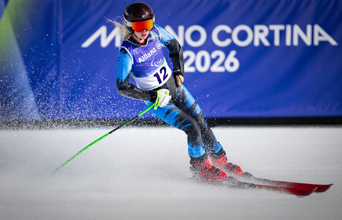 ���������� ������������ ����������� ��������� ������� ������������