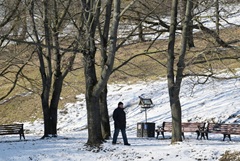 ���� � ������ � ��������� ������� ����� ����������� � ������ ������