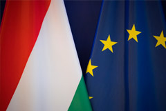 Politico ������, ��� �� ��������� ������ ������� � ���������������� ����������