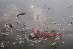 ���� 14% ������� ���� � 2025 ���� ��������������� ����������� � �������� �������