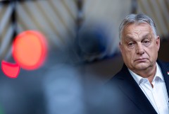 ����� �������, ��� ������������ �������� ����������� ���� �� ������� ����� ���������