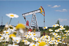 Власти в пятницу обсудят с нефтяниками вопрос возобновления запрета на экспорт бензина Власти в пятницу обсудят с нефтяниками вопрос возобновления запрета на экспорт бензина