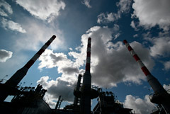 ���� ������� �����, 50 ���������� ��� ������ �� "�������������������"