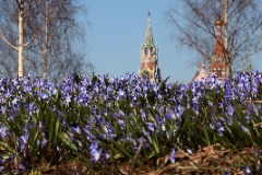 ������ ����� ������ ����� �� ������� ����� ����������� ���������� ������