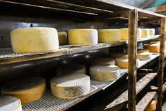 ������ � 2025 ���� �������� ������ �� �������� ����� � �������