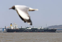 ��������� ������ �������� ��� ������ �����