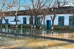 ����� ���������� ������� �������� � ���� ����������� � ��������� ����� ������