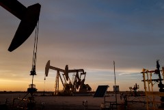 ���� �� ����� ����� ������� � �������