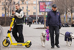 ����������� ������ � ������ � �����������