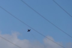 ������� �� ����� ����� ����� �� ����� ��� 120 �������� ������� �����