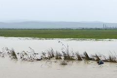 ����� ��������� ��������� ��������� �� ������� �������������� ������� � 640 ��� ���.