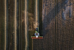 ������� �� ������� ������� �� �� � 8 ������ ������� �� 21%, �� 561,5 ���./�