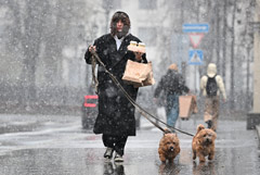 ������ ���� � ���������� �������������� � ������ �� ����� �������