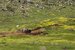 ������� ����� �������� ���������� ���������� � ������������� �������� ������ �����