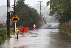 ������ "������" ������ � ���������� � ����������� ������������� � ����� ��������