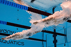 World Aquatics допустила россиян к международным стартам под флагом РФ World Aquatics допустила россиян к международным стартам под флагом РФ