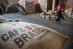 ������ ���� � �������� � ��������� ����������� ��������� �������