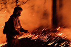 Площадь лесных пожаров в РФ в 2026 г. выросла в 1,3 раза, их число снизилось вдвое Площадь лесных пожаров в РФ в 2026 г. выросла в 1,3 раза, их число снизилось вдвое