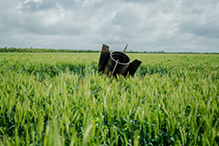 ��� ��������, ��� ��� ������������� ���� ����� �������������� ����� � �������� ������ �����