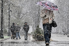 В Гидрометцентре опровергли возможность образования снежного покрова в Москве в выходные В Гидрометцентре опровергли возможность образования снежного покрова в Москве в выходные