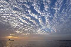 NYT ��������, ��� ���� �������� ���������� ������ ��� ������ ����������� � ��������� �������