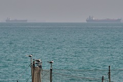 ������ 16 ����� ������ � ����������� ����� ��������� ������