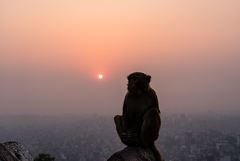 ������ ������������� ������� ������� ������ ������������� �� ������