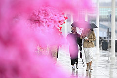 ����������� � ������ � �������� �������� � ��������� ������ ������