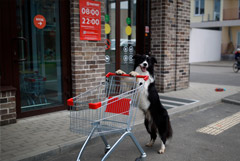 ���� ������ �������� ������� �� �������� �� 2026 ��� � ��������� 4,5-5,5%