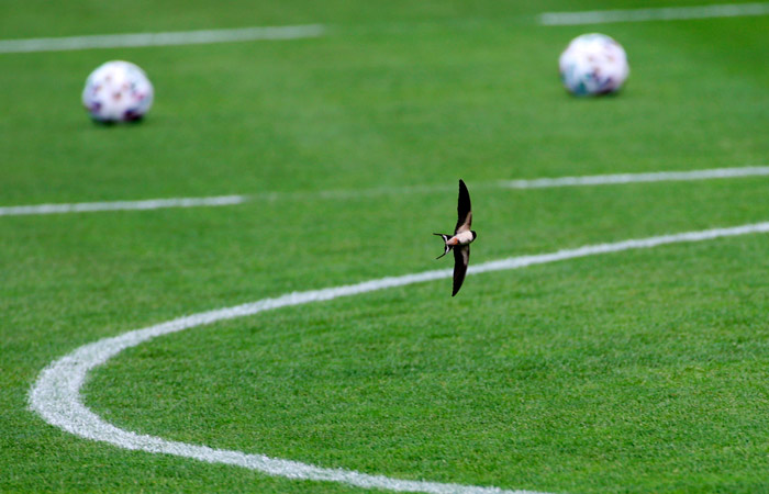 �������� ��������� ����� �� ���������� � ���