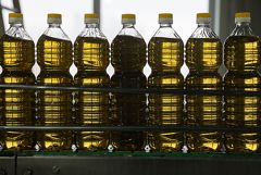 ������� �� ������� ������������� ����� �� �� � ��� �������� � 3,5 ����