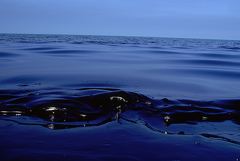 ����� 2,5 ���. ���������� �������������� ������ �� ���� � � ��������� ������