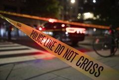 WP �������� � ��������� ������ ������������ �� ������ � ������� � ����������