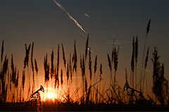 Brent ��������� � $106,5 �� �������