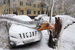 � ���������� ������� �������� ��������� ������� �������� ���������