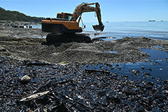 � ������ �� �������� ������ 4165 ���������� ��������������