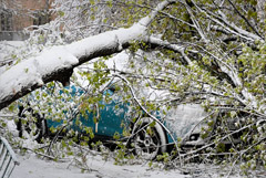 � ����������� ��-�� ������� �������� ���������� ���� �������