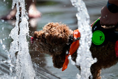 � ���� ������ ������������ � ������ ������� �������� �������� � �� ������������