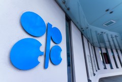 ����� ����� "��� ���������" � ����+ ���������� ������� ���������. ���������