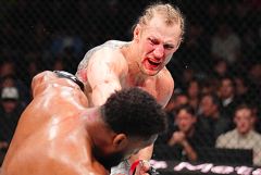 ��������� ������ ������� ������ ������-������ �� ������� UFC