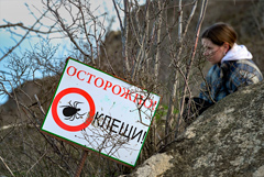 В Роспотребнадзоре уточнили, что эндемичны по энцефалиту отдельные территории, а не регионы В Роспотребнадзоре уточнили, что эндемичны по энцефалиту отдельные территории, а не регионы