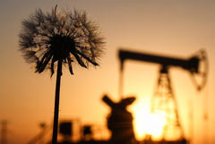 Brent подешевела до $98,06 за баррель Brent подешевела до $98,06 за баррель