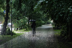 Рекордное количество осадков выпало на востоке Москвы Рекордное количество осадков выпало на востоке Москвы