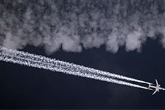 El Al �������� �� ��������� ���� ������ � ������
